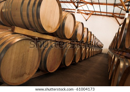 Oak barrels with wine in storage at a prestigious wine estate