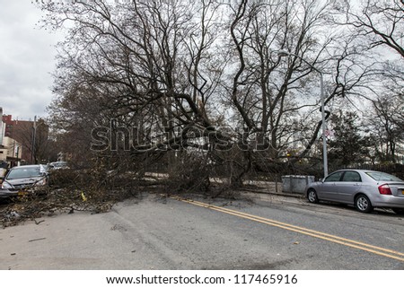 NEW YORK - NOVEMBER 1, 2012: Fallen trees caused by Hurricane Sandy block a street in Brooklyn NY, near Asser Levy Park on November 1, 2012, Brooklyn, NY