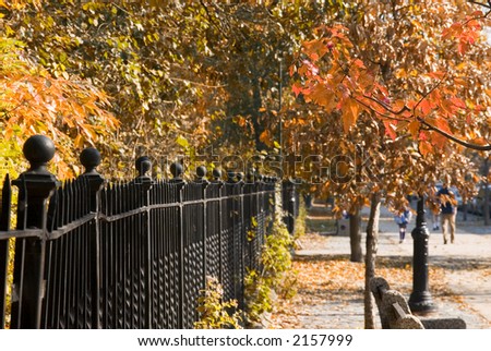 Autumn on the Brooklyn street near the Park