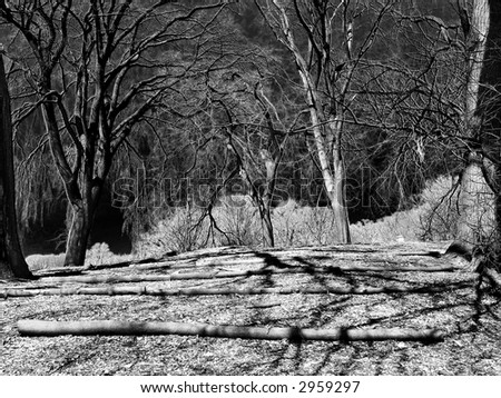 Hill in the early spring - infrared photo
