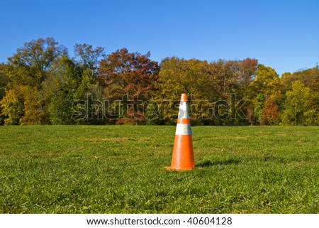 Safety orange cone on the lawn in the Prospect Park, New York