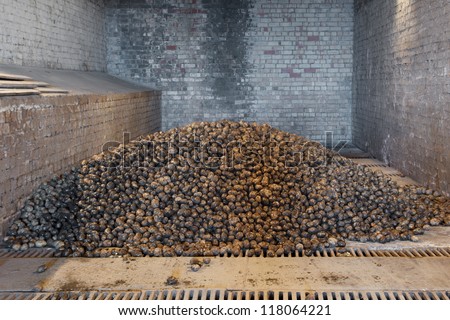 lot of raw potatoes in storage house