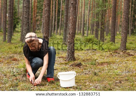 Woman in the forest picking up Mushrooms