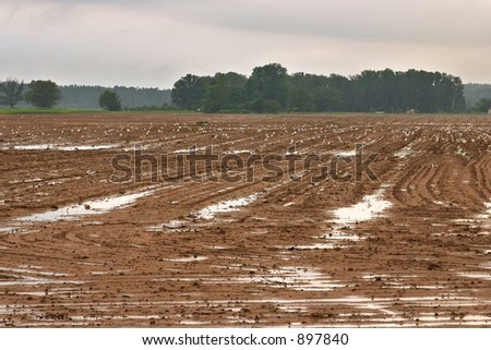 Agricultural view with pools