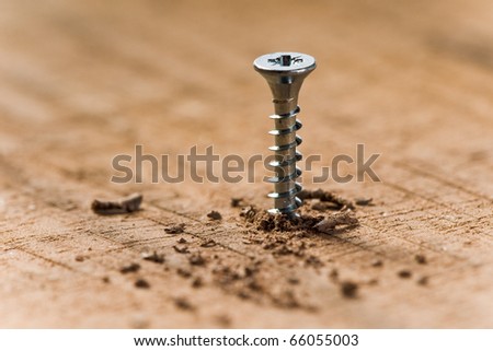 screw screwed in wood with wood shavings