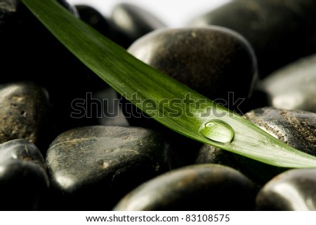 black spa stones with green leaf and a drop on it