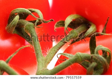 Tomato red nature food background