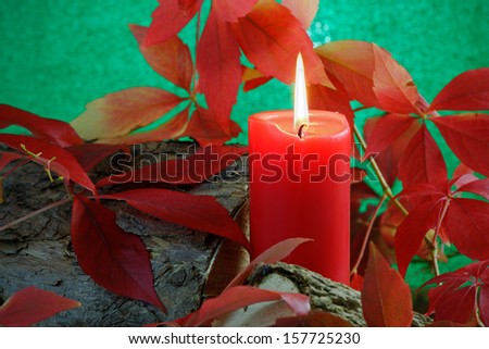 A red candle burning on logs among Virginia Creeper leaves in Autumn