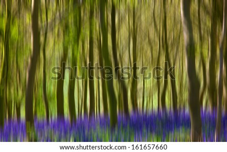 Background of blurred woodland in spring,with bluebells and trees