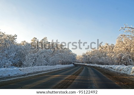 The road through the frozen forest. Sunset, the rays glide over the tops of trees.