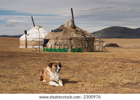 Yurta- traditional dwelling of mongolian nomads