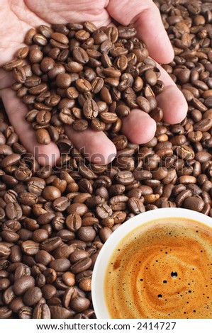 Palm with coffee beans and cup of coffee