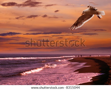 people walking on beach. stock photo : People walking