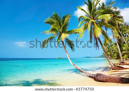 Koh Kood: Neverland Beach Resort Koh Kood: Neverland Beach Resort