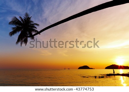Tropical beach, Mak island, Thailand