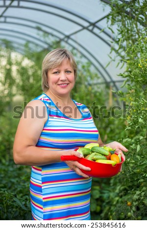 Middle-aged woman picking harvests in the greenhouse