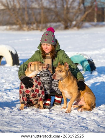 Young woman with two dogs of breed American Pit Bull Terrier winter