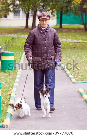 Woman walks with two dogs of breed papillon