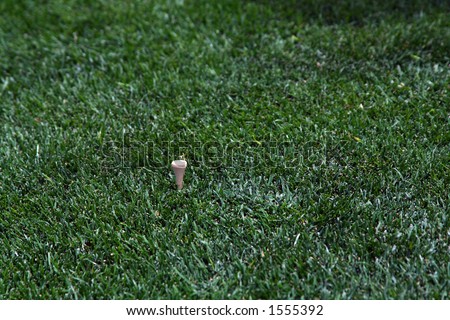 Golf tee with grass after golf ball has been hit