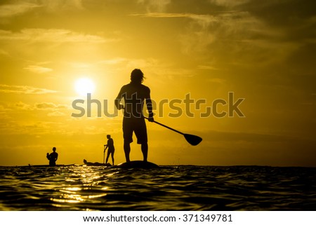 A company of young surfers coming back from the ocean by paddle boards. They are rowing against the backdrop of a beautiful sunset in Mauritius