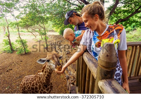 young couple with a baby feeding a giraffe at the zoo on a jungle background. The child laughs. Mauritius Casela Safari Park