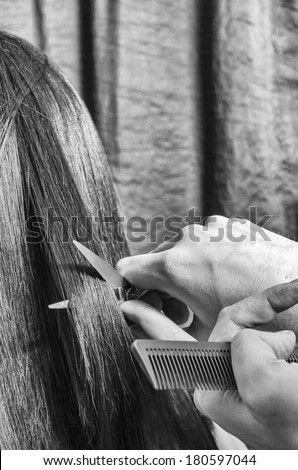 Hands cutting hair /Cutting hair/Hand cutting hair with scissors at hair salon
