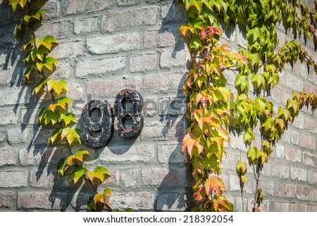 House number on brick wall with green ivy/House number 98/Number 98 on house brick wall
