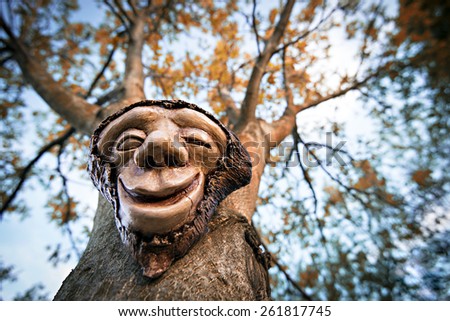 Wooden face hanging on a tree / Spirit of the forest / Forest tree wooden spirit