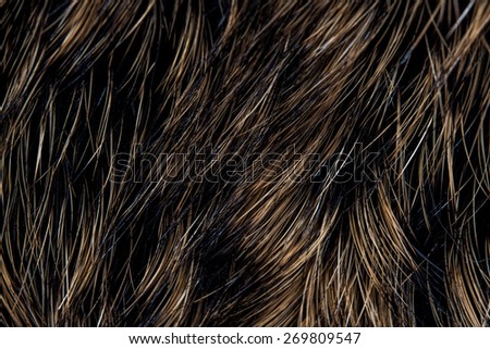 Rabbit fur texture background/Rabbit fur textured abstract background/Brown rabbit fur pattern background