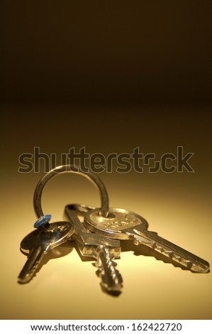 Three (3) European Style Keys on a Ring. Nice Gradient Background and plenty of room for copy at the top. Great picture for real estate, security, investments, home ownership, etc.