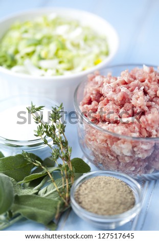 Ingredients of ground pork, leeks, sage and salt and pepper