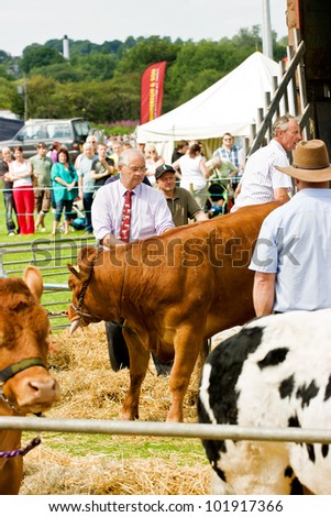 LEEK, ENGLAND - JULY 30, Farmers attending distressed cattle at  Britannia Leek & District Show on July 30 2011 in Leek, England, UK. The Britannia Leek & District Show is an annual agricultural event