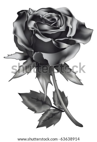 stock vector Black Rose