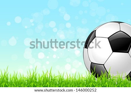 Soccer Ball on Green Grass and Blue Sky Background
