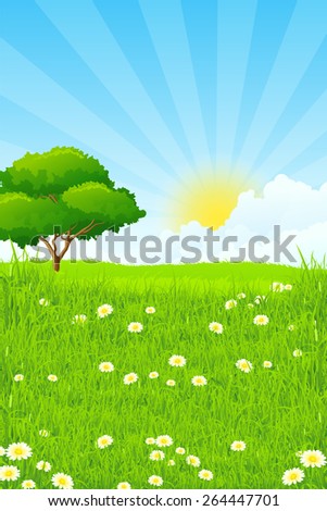 Green Landscape with clouds and sun and one Green Tree