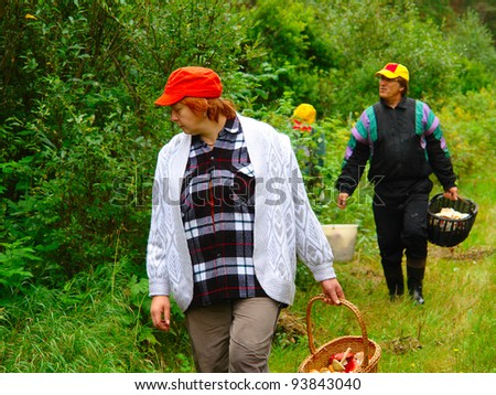 Older women and men gather mushrooms in the forest