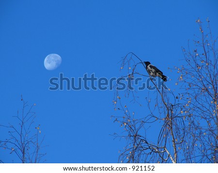 Crow and Moon