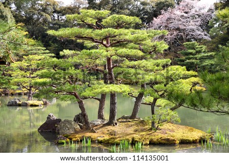 Kyoto, Japan - Japanese garden at famous Kinkakuji (Kinkaku-ji) Temple. Buddhist zen temple of Rinzai school.