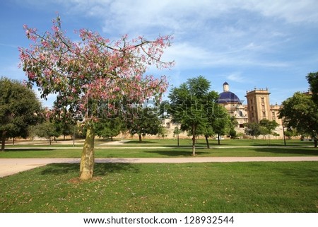 Valencia, Spain. Famous Turia gardens, park made in old riverbed. Blooming silk floss tree (Ceiba speciosa).