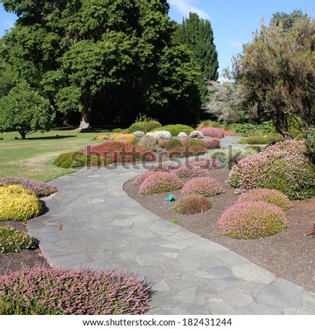 Christchurch Botanic Gardens (New Zealand). Alpine flora. Square composition.