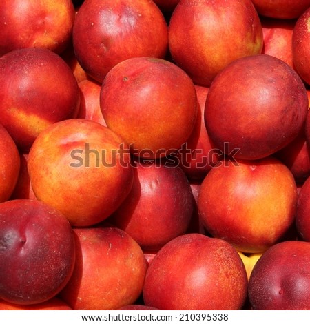 Fruit stand with nectarines at a marketplace in Mainz, Germany. Farmers market. Square composition.