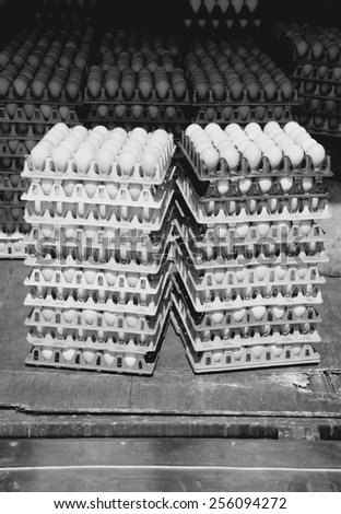 Eggs wholesale at a marketplace in Bangkok, Thailand. Egg trays. Black and white tone - retro monochrome color style.