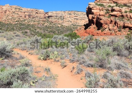 United States nature - Colorado National Monument. Hiking trail path.