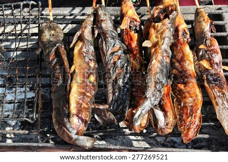 Food market in Bangkok, Thailand. Fish barbecue.