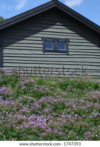 Wooden house and flower garden. A small wooden house in Norway with lots of pink flowers in front of it.