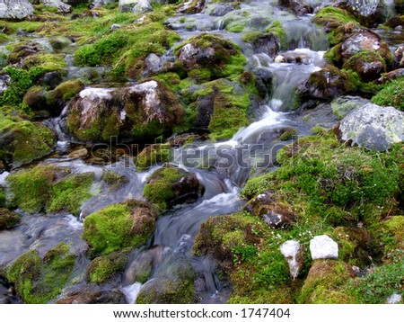Small mountain stream flowing. Water in motion. Stream among mossy stones.