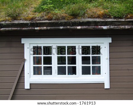 White window and roof with grass