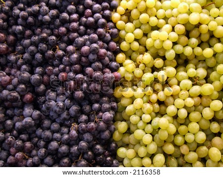 Fruit store - shopping for colorful fruit. Green and black grapes.