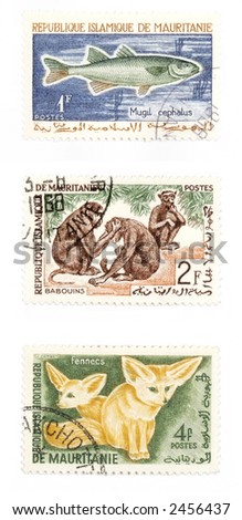 Obsolete postage stamps from Mauritania. Old collectible post stamps show animals.