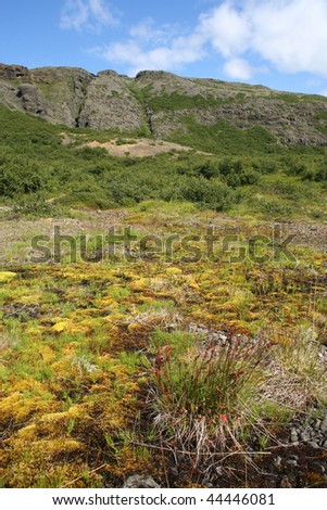 Beautiful mountains in Glymur area, Iceland. Colorful moss.